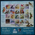1000 Birds of a Feather (1).jpg