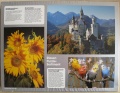 2250 Neuschwanstein, Sonnenblumen, Kanarienvoegel2.jpg