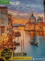 1000 Venice (8).jpg