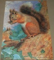 140 Red Squirrel1.jpg