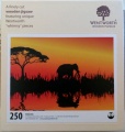 250 Elefantoes.jpg