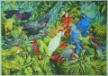 1000 Regenwald-Papageien1.jpg