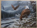 500 Winter Eagles1.jpg