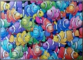 500 Clownfish1.jpg