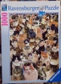 1000 Katzen Collage.jpg