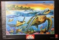 500 Sea Turtles.jpg