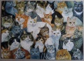 1000 Just Cats1.jpg