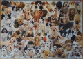 1000 Hunde Collage1.jpg