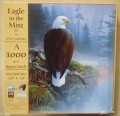 1000 Eagle in the Mist.jpg