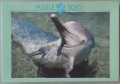 500 (Delfin).jpg