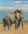 99 (Zwei Elefanten)1.jpg