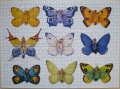 1000 Schmetterlingskinder1.jpg