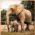 20 Elefanten1.jpg