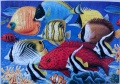 250 Coral Fish1.jpg