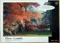 1000 Autumn foliage at Westonbirt Arboretum, Gloucestershire.jpg