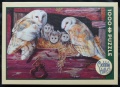 1000 Barn Owls.jpg