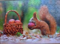 120 Squirrels Supplies1.jpg
