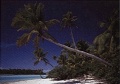 1000 Cook Islands.jpg