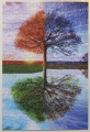 1000 Four Seasons (2)1.jpg