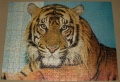 300 Tiger1.jpg