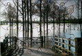 40 Toombes Meadow Floods1.jpg