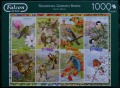 1000 Seasonal Garden Birds.jpg
